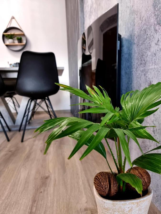Apartament Jelonek w Karkonoszach Jelenia Góra Kültér fotó