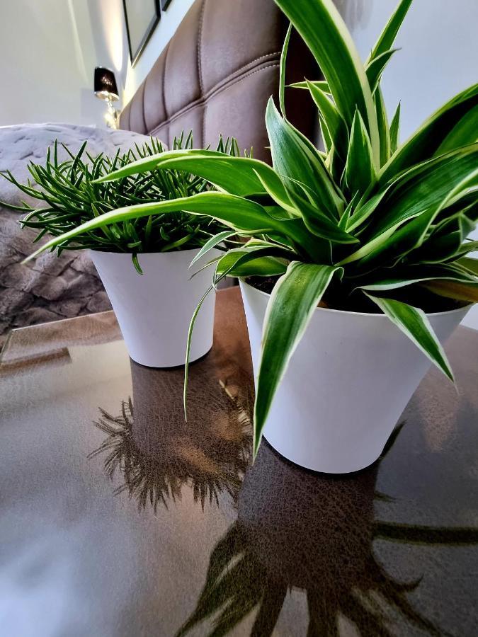 Apartament Jelonek w Karkonoszach Jelenia Góra Kültér fotó